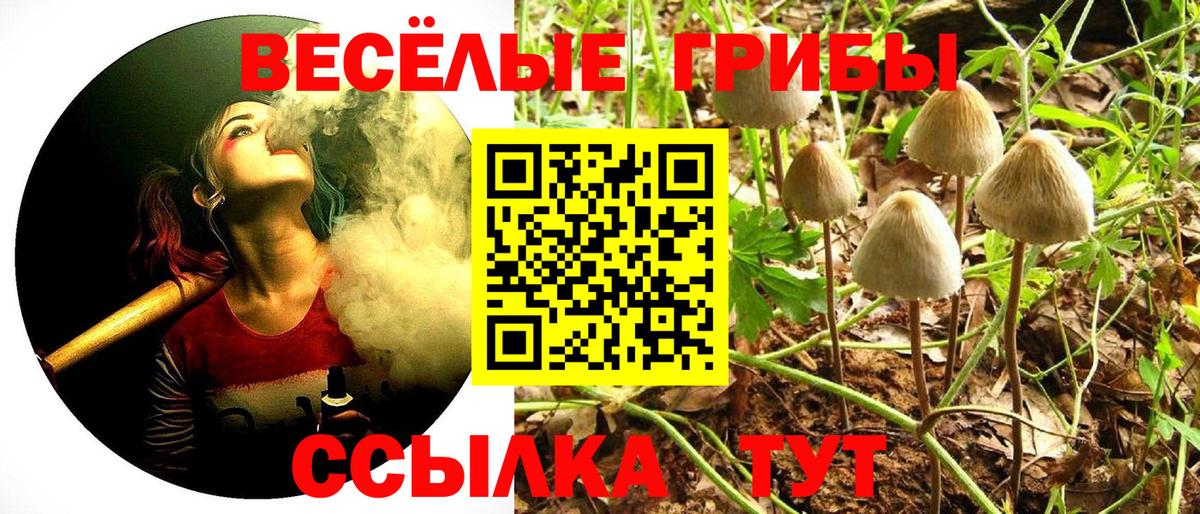 Псилоцибиновые грибы GOLDEN TEACHER  Вход с VPN  Псилоцибиновые грибы Psilocybe  Узловая 