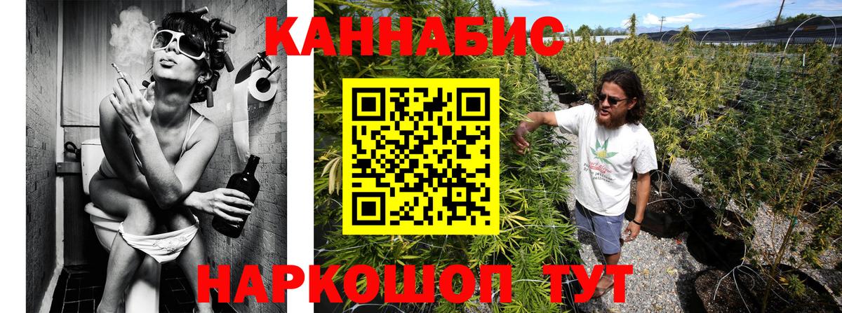 Бошки Шишки планчик  Бошки Шишки тримм  Конопля конопля  Вход с VPN  Конопля план  Узловая 
